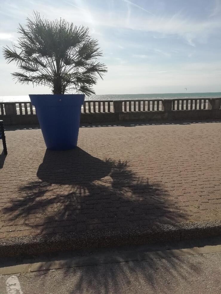 T3 Rez-De-Chaussee Lumineux Avec Terrasse Proche Plage キュク エクステリア 写真